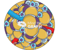 Adipose tissue inflammation zoom - Edit and Customize Icons of Adipose tissue inflammation zoom Adipose tissue inflammation zoom Icons, Symbols, Pictures, and Images