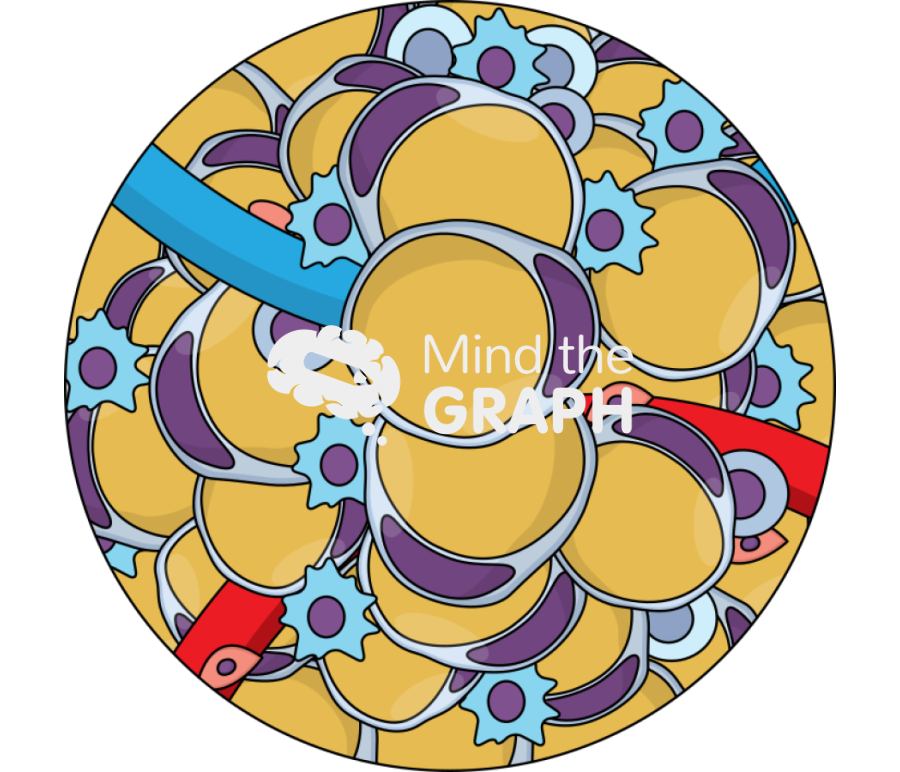 Adipose tissue inflammation zoom Icons, Symbols, Pictures, and Images