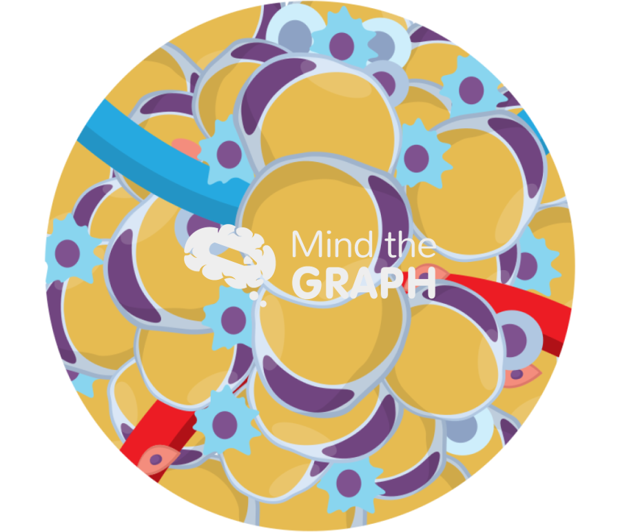 Adipose tissue inflammation zoom Icons, Symbols, Pictures, and Images