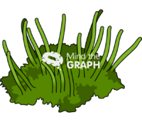 Anthocerotae plantae - Edit and Customize Icons of Anthocerotae plantae Anthocerotae plantae Icons, Symbols, Pictures, and Images