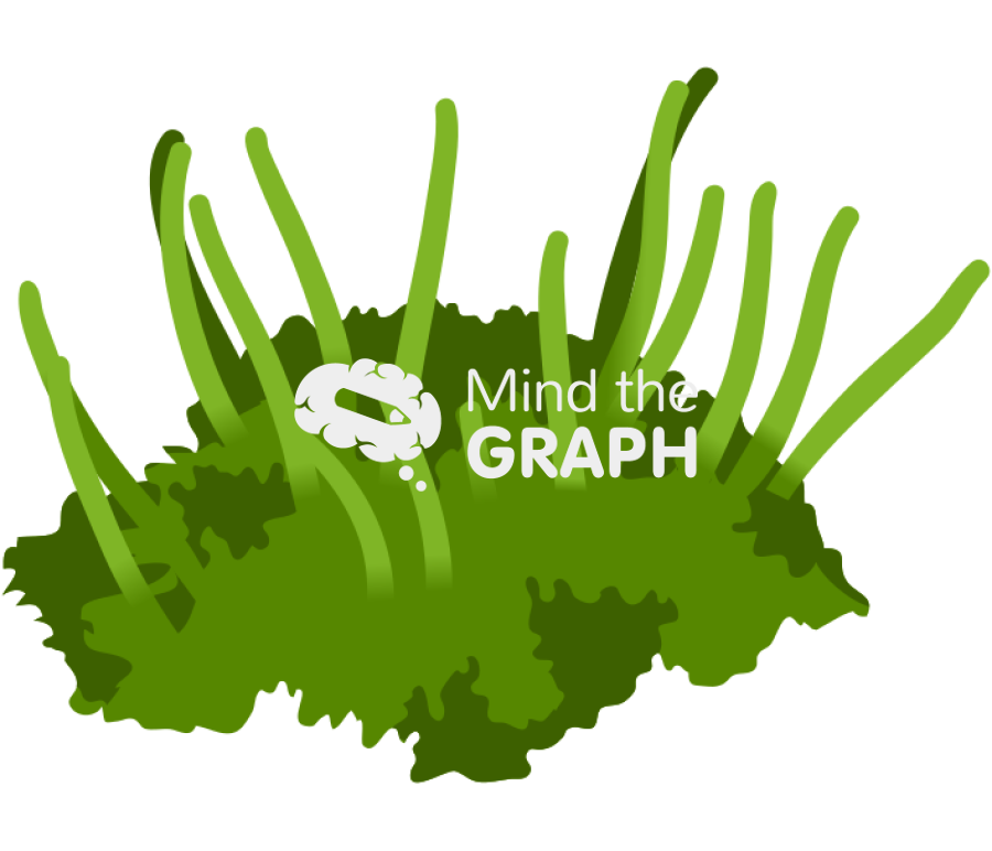 Anthocerotae plantae Icons, Symbols, Pictures, and Images