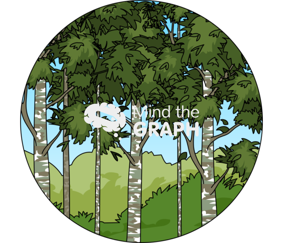 Aquilaria spp agarwood tree zoom Icons, Symbols, Pictures, and Images