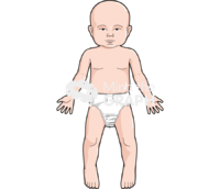 Baby anatomic front asiatic - Edit and Customize Icons of Baby anatomic front asiatic Baby anatomic front asiatic Icons, Symbols, Pictures, and Images