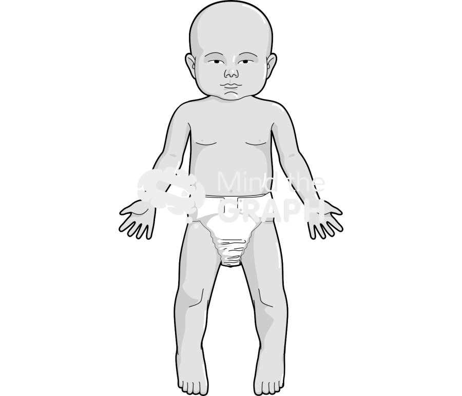Baby anatomic front asiatic Icons, Symbols, Pictures, and Images