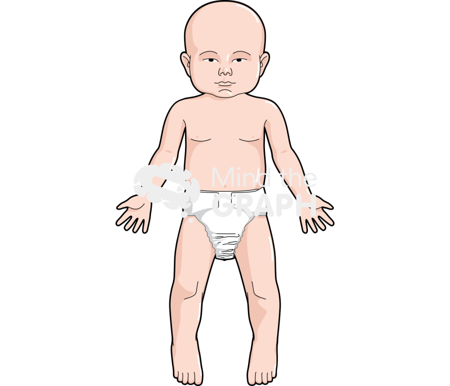 Baby anatomic front asiatic Icons, Symbols, Pictures, and Images