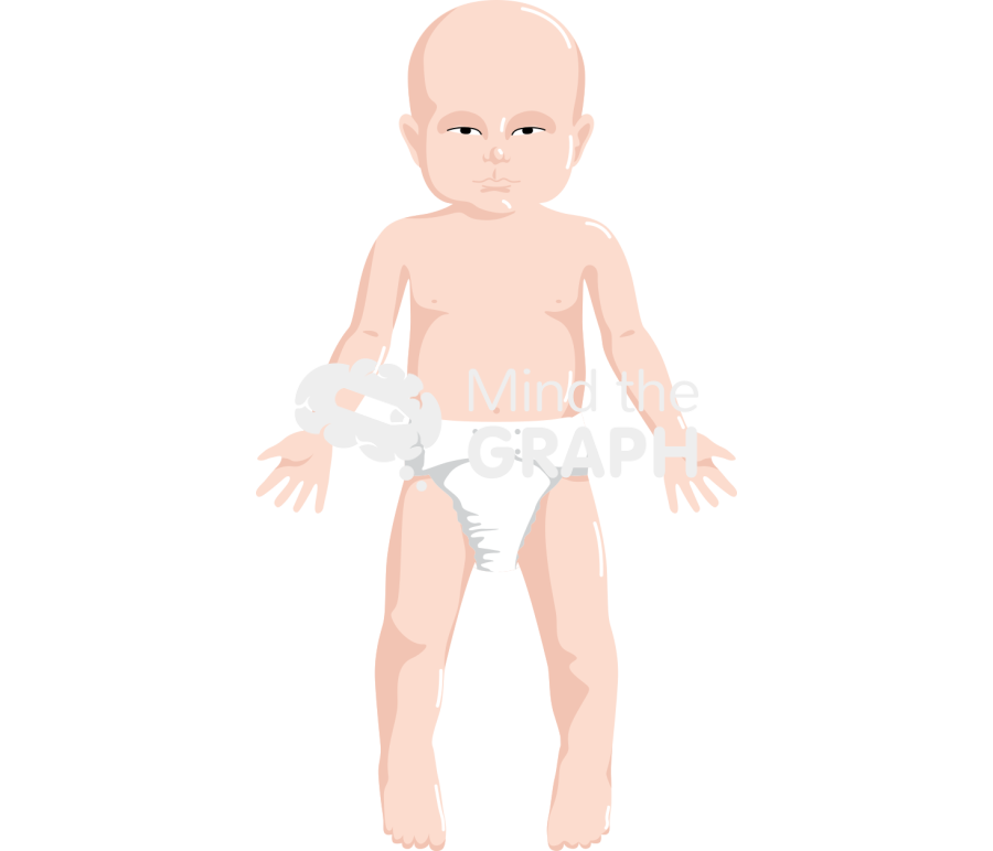 Baby anatomic front asiatic Icons, Symbols, Pictures, and Images