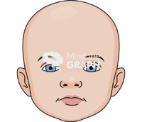 Baby face anatomic front - Edit and Customize Icons of Baby face anatomic front Baby face anatomic front Icons, Symbols, Pictures, and Images