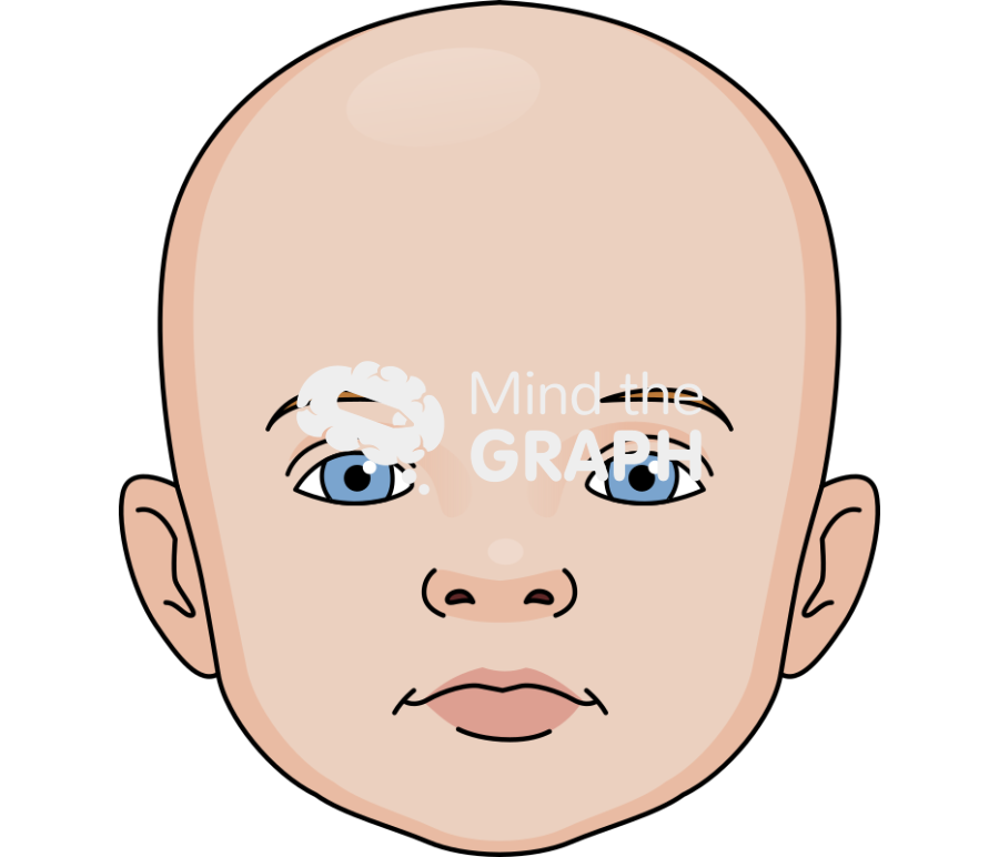 Baby face anatomic front Icons, Symbols, Pictures, and Images