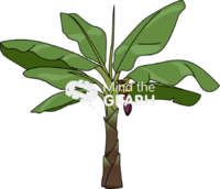 Banana tree plant banana - Edit and Customize Icons of Banana tree plant banana Banana tree plant banana Icons, Symbols, Pictures, and Images