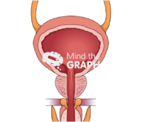 Blatter front cut - Edit and Customize Icons of Blatter front cut Blatter front cut Icons, Symbols, Pictures, and Images