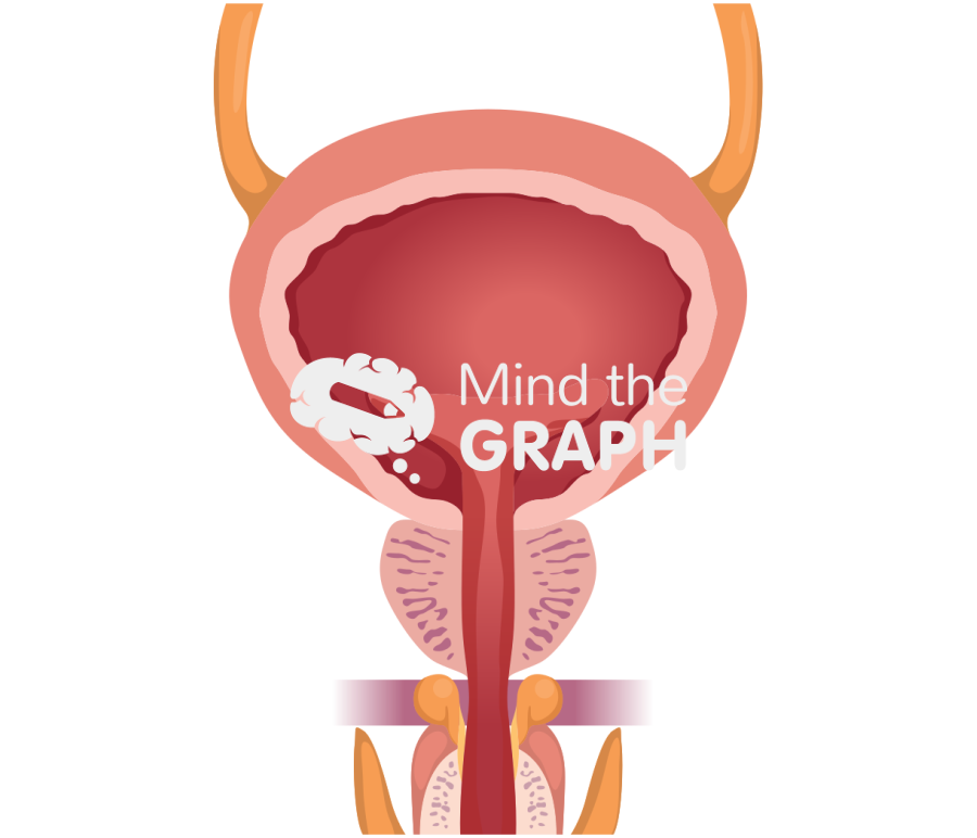 Blatter front cut Icons, Symbols, Pictures, and Images