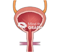 Blatter front cut 2 - Edit and Customize Icons of Blatter front cut 2 Blatter front cut 2 Icons, Symbols, Pictures, and Images