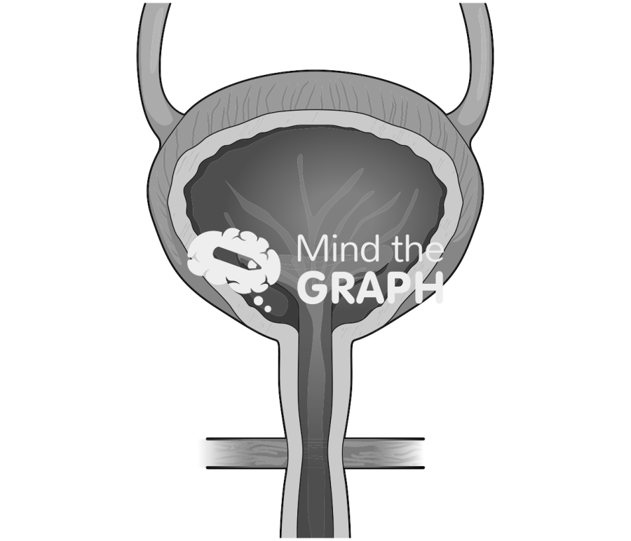 Blatter front cut 2 Icons, Symbols, Pictures, and Images