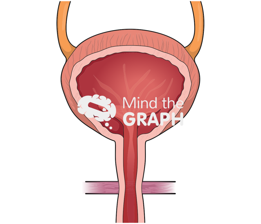 Blatter front cut 2 Icons, Symbols, Pictures, and Images