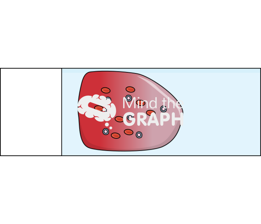 Blood smear film blood cells Icons, Symbols, Pictures, and Images