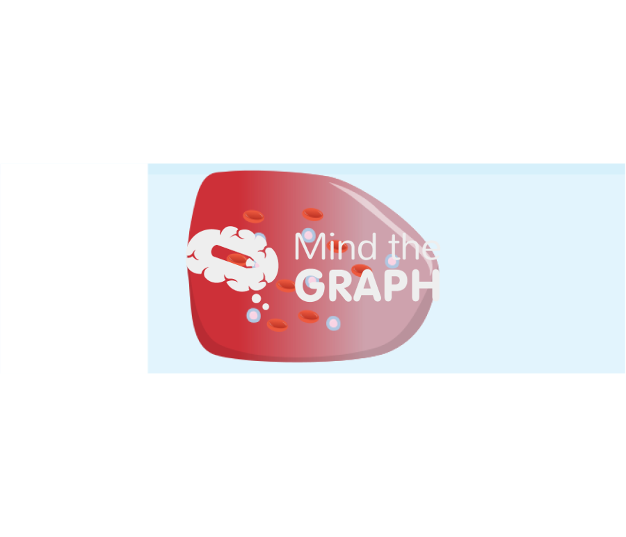 Blood smear film blood cells Icons, Symbols, Pictures, and Images