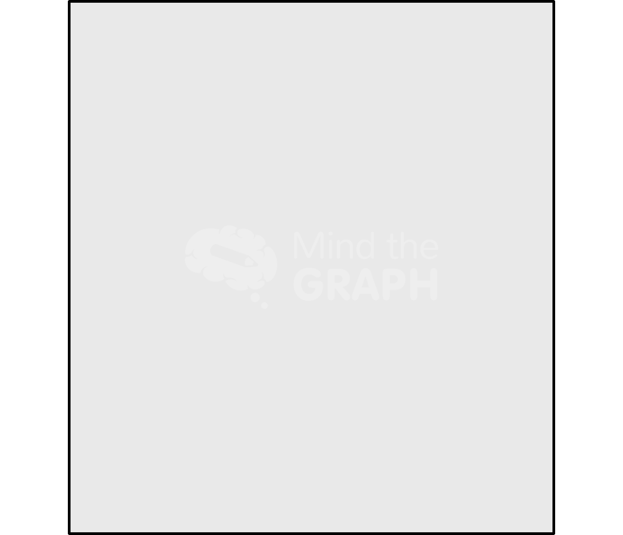 Blotting membrane front Icons, Symbols, Pictures, and Images