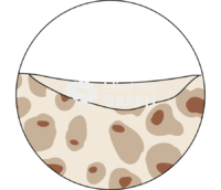 Bone cut remodeling cycle zoom 3 - Edit and Customize Icons of Bone cut remodeling cycle zoom 3 Bone cut remodeling cycle zoom 3 Icons, Symbols, Pictures, and Images