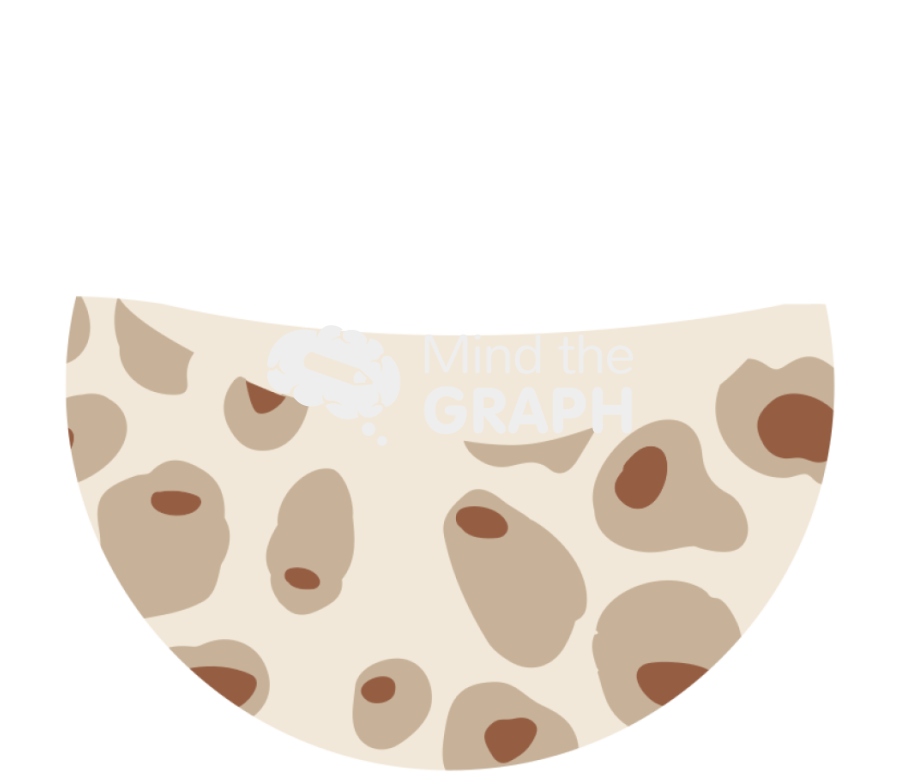 Bone cut remodeling cycle zoom 3 Icons, Symbols, Pictures, and Images