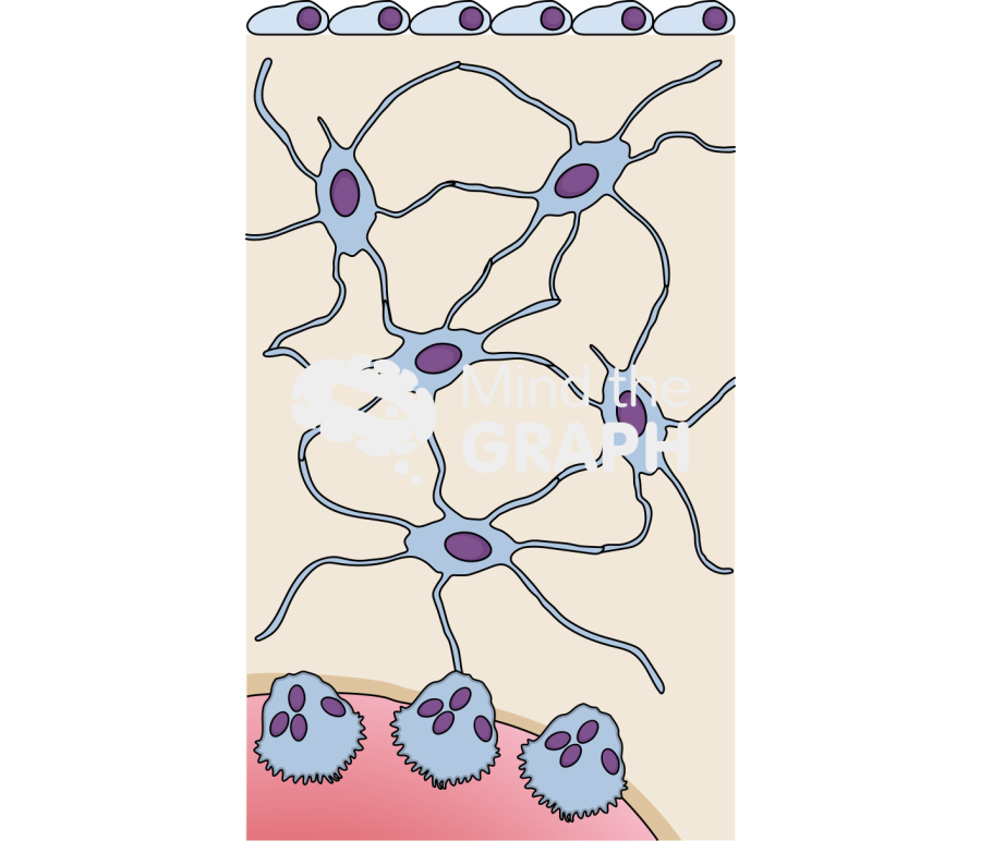 Bone tissue Icons, Symbols, Pictures, and Images