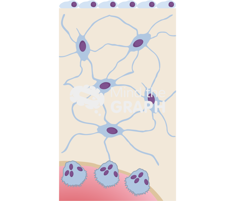 Bone tissue Icons, Symbols, Pictures, and Images