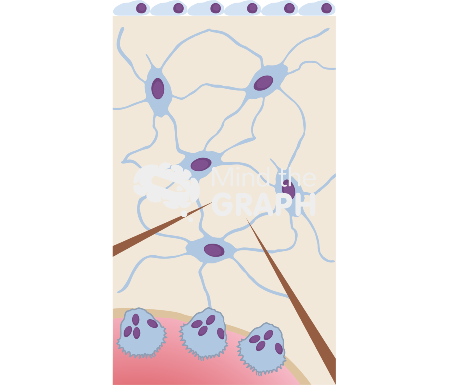 Bone tissue microcrack Icons, Symbols, Pictures, and Images