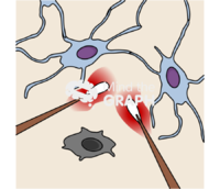 Bone tissue microcrack repair - Edit and Customize Icons of Bone tissue microcrack repair Bone tissue microcrack repair Icons, Symbols, Pictures, and Images