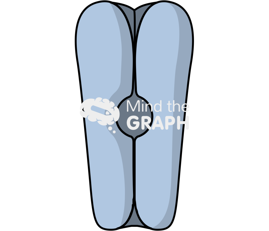 Channel 19 Icons, Symbols, Pictures, and Images