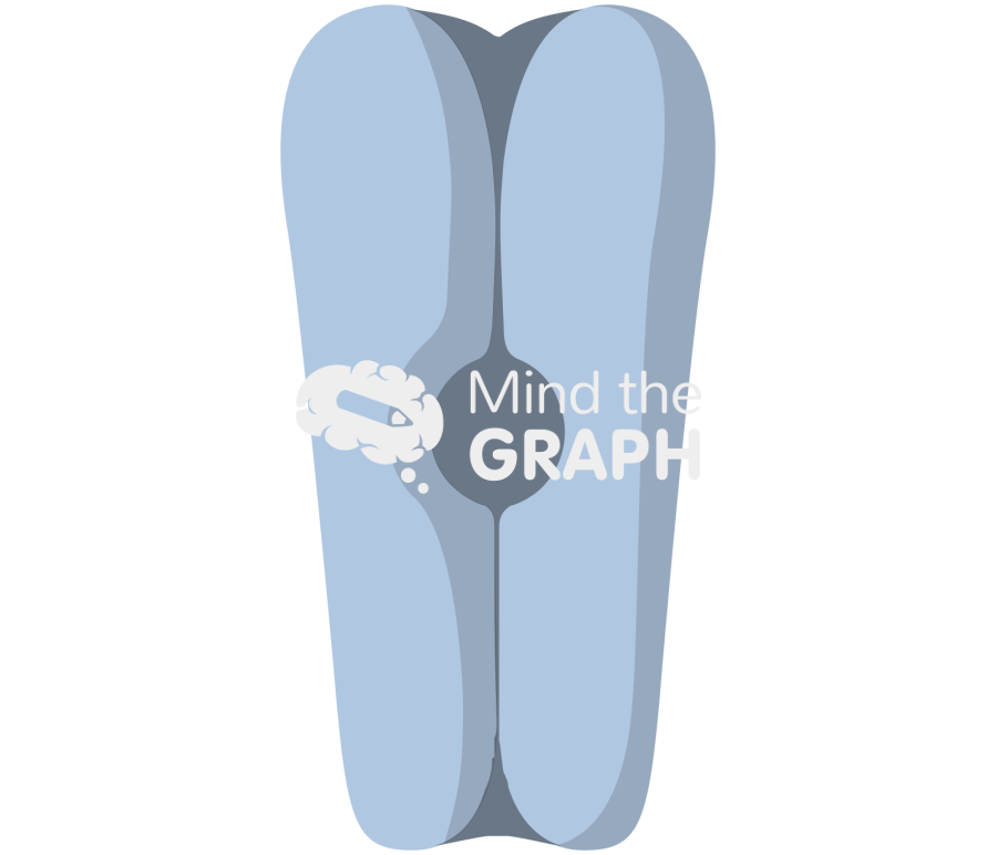 Channel 19 Icons, Symbols, Pictures, and Images