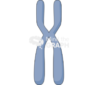 Chromosome - Edit and Customize Icons of Chromosome Chromosome Icons, Symbols, Pictures, and Images