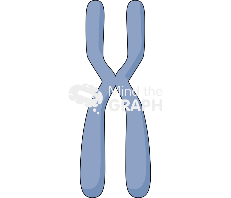 Chromosome Icons, Symbols, Pictures, and Images