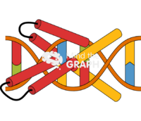 Cleraxis protein dna - Edit and Customize Icons of Cleraxis protein dna Cleraxis protein dna Icons, Symbols, Pictures, and Images