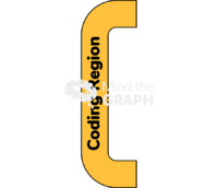 Coding region protein synthesis - Edit and Customize Icons of Coding region protein synthesis Coding region protein synthesis Icons, Symbols, Pictures, and Images