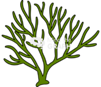 Codium chlorophyta - Edit and Customize Icons of Codium chlorophyta Codium chlorophyta Icons, Symbols, Pictures, and Images