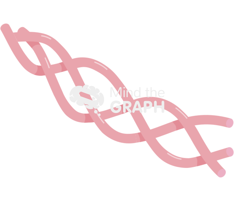 Collagen Icons, Symbols, Pictures, and Images