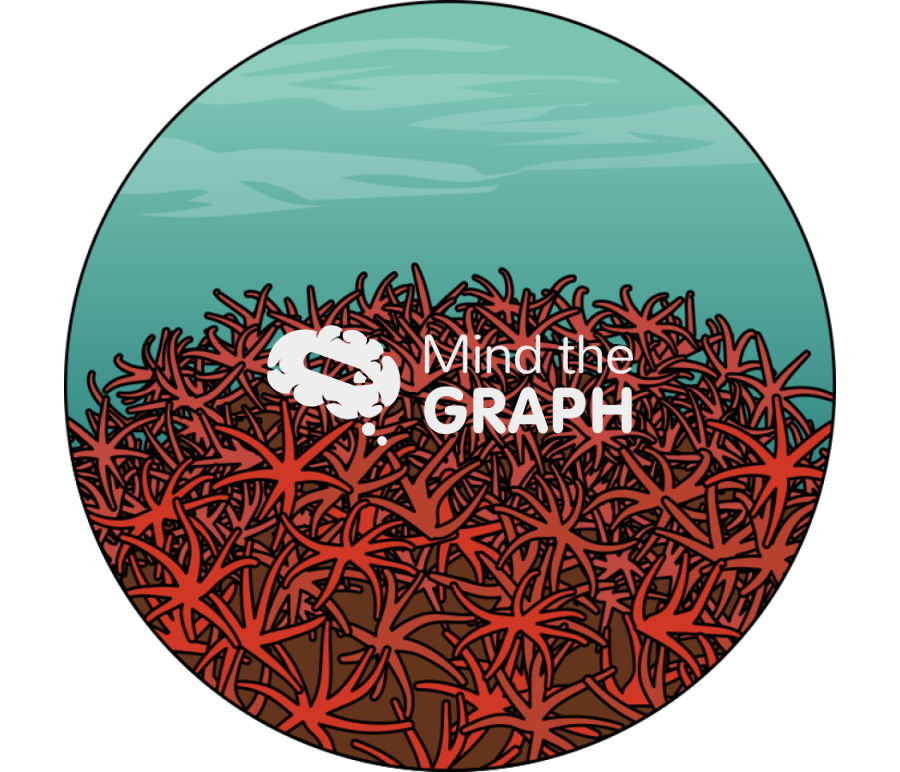 Coral red 2 zoom Icons, Symbols, Pictures, and Images