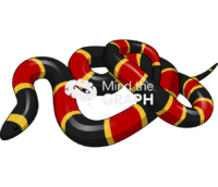 Coral snake - Edit and Customize Icons of Coral snake Coral snake Icons, Symbols, Pictures, and Images