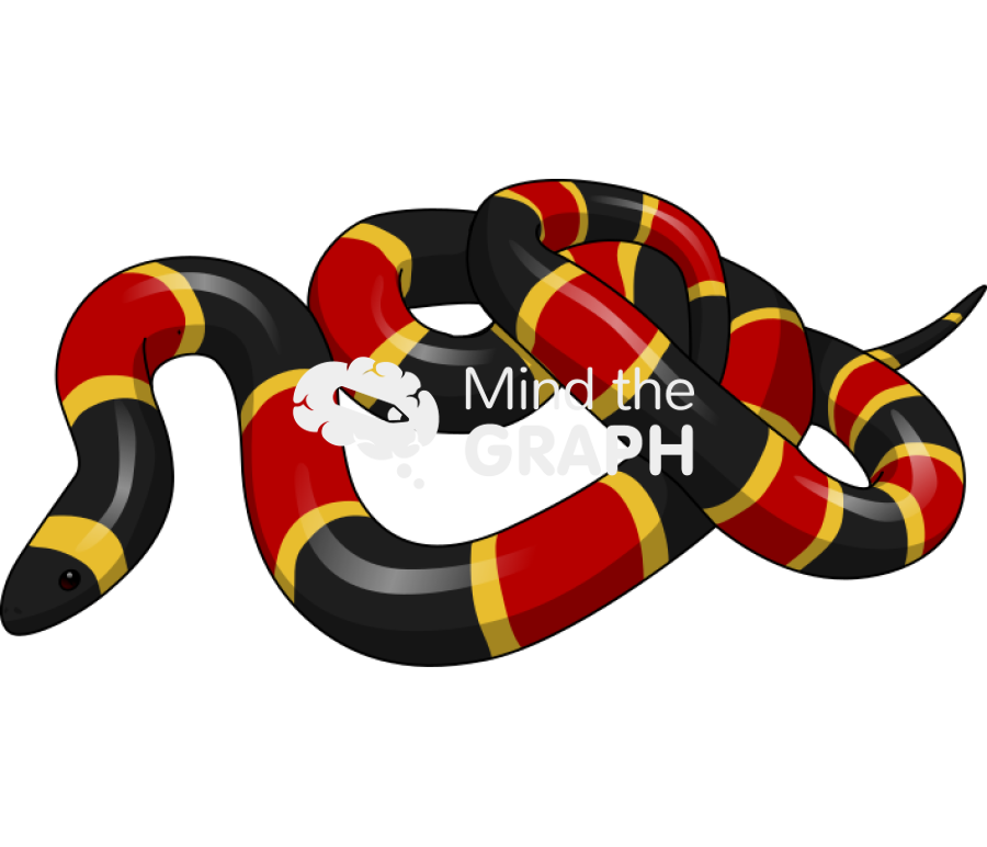Coral snake Icons, Symbols, Pictures, and Images