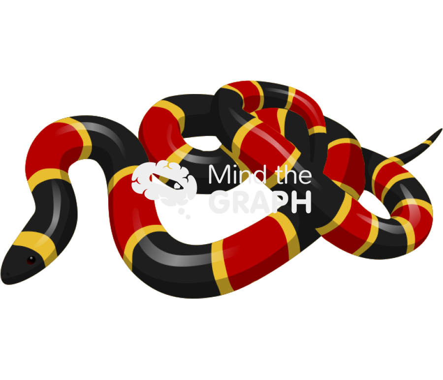 Coral snake Icons, Symbols, Pictures, and Images