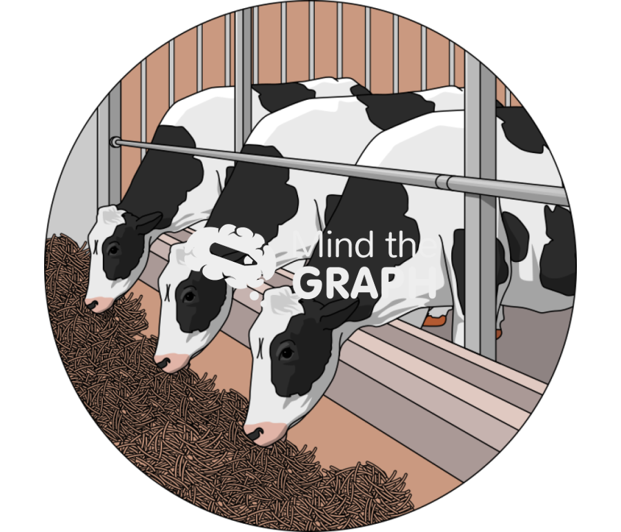 Cows eating hay zoom Icons, Symbols, Pictures, and Images