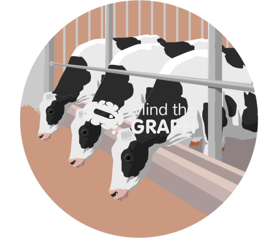 Cows eating hay zoom Icons, Symbols, Pictures, and Images