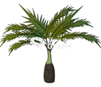 Dwarf palm tree - Edit and Customize Icons of Dwarf palm tree Dwarf palm tree Icons, Symbols, Pictures, and Images