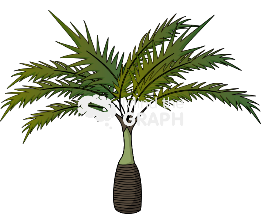 Dwarf palm tree Icons, Symbols, Pictures, and Images