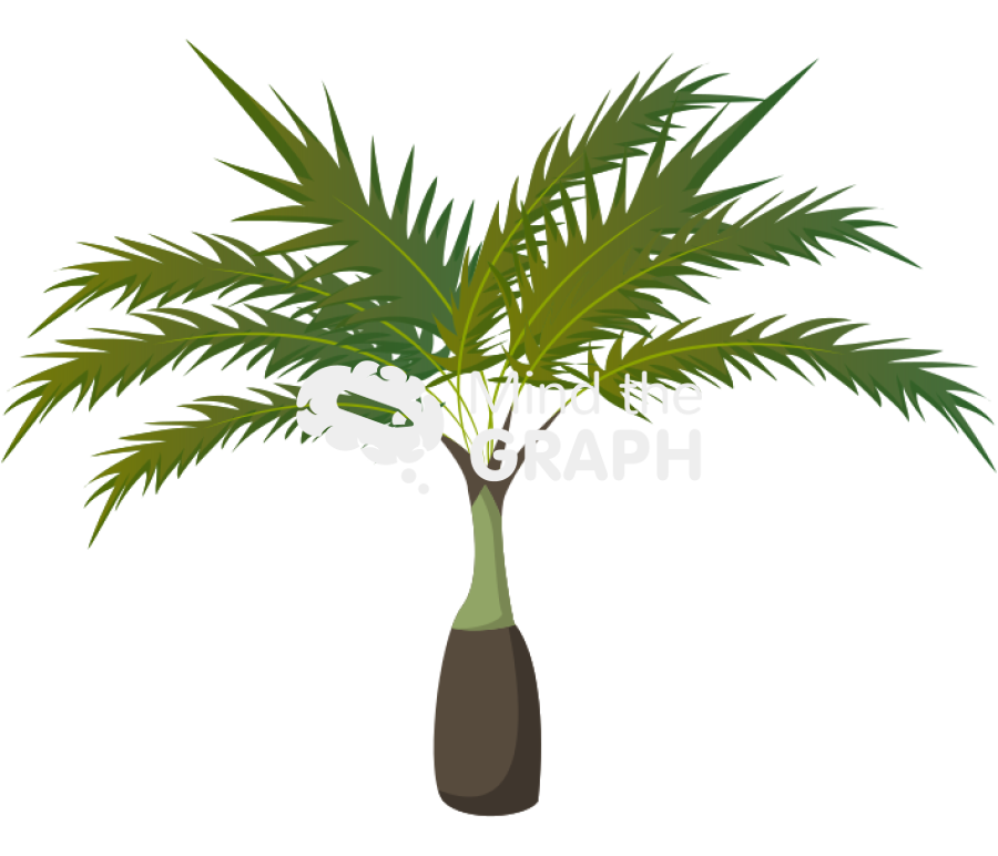 Dwarf palm tree Icons, Symbols, Pictures, and Images