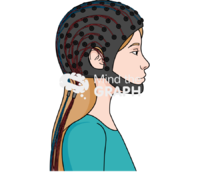 Eeg electroencephalography - Edit and Customize Icons of Eeg electroencephalography Eeg electroencephalography Icons, Symbols, Pictures, and Images