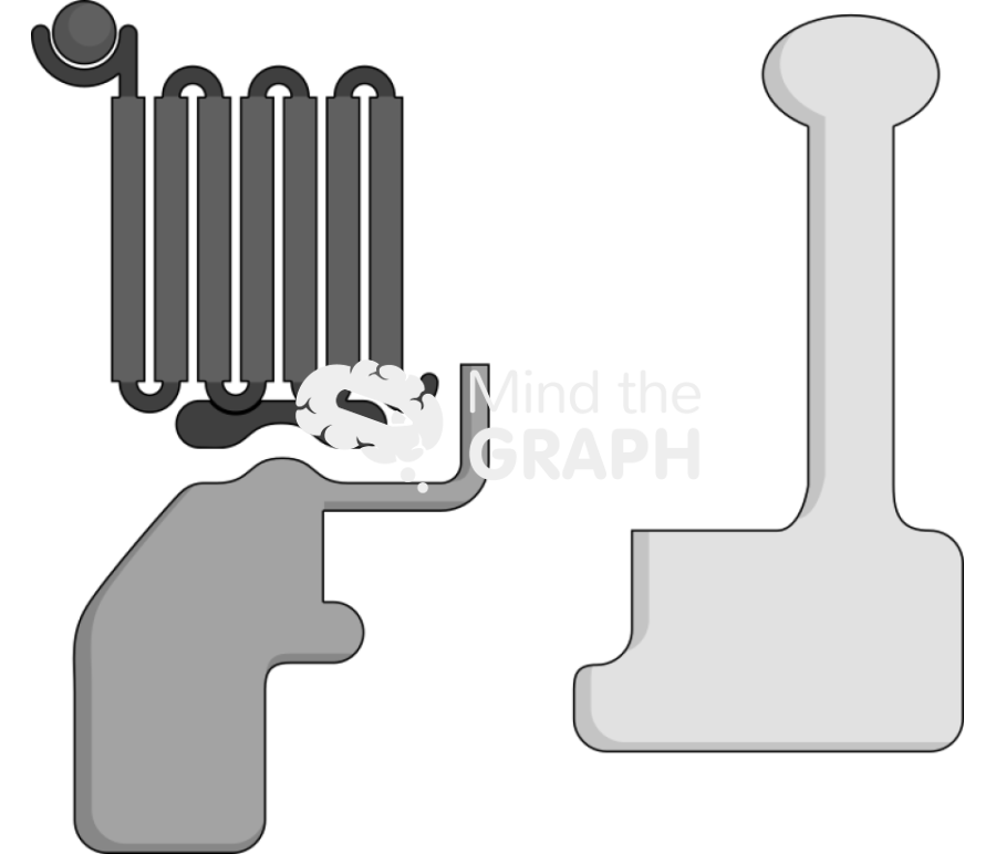 Gprotein linked receptor active Icons, Symbols, Pictures, and Images