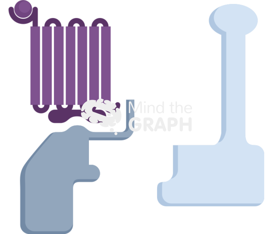 Gprotein linked receptor active Icons, Symbols, Pictures, and Images