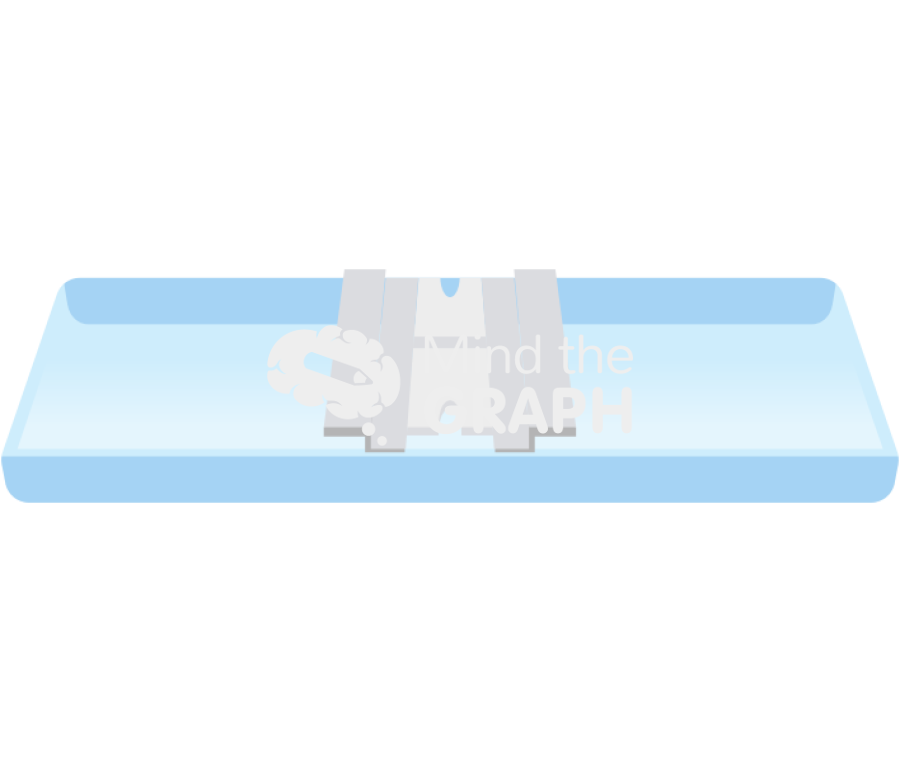 Hemocytometer neubauer chamber Icons, Symbols, Pictures, and Images