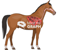 Horse respiratory system lateral - Edit and Customize Icons of Horse respiratory system lateral Horse respiratory system lateral Icons, Symbols, Pictures, and Images
