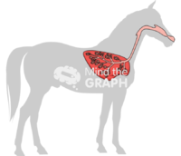 Horse respiratory system shape lateral - Edit and Customize Icons of Horse respiratory system shape lateral Horse respiratory system shape lateral Icons, Symbols, Pictures, and Images